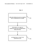 AUTOMATED DETECTION AND COUNTING OF BIOMOLECULES USING NANOPARTICLE PROBES diagram and image