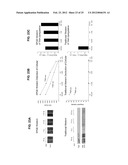 AUTOMATED DETECTION AND COUNTING OF BIOMOLECULES USING NANOPARTICLE PROBES diagram and image