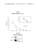 AUTOMATED DETECTION AND COUNTING OF BIOMOLECULES USING NANOPARTICLE PROBES diagram and image