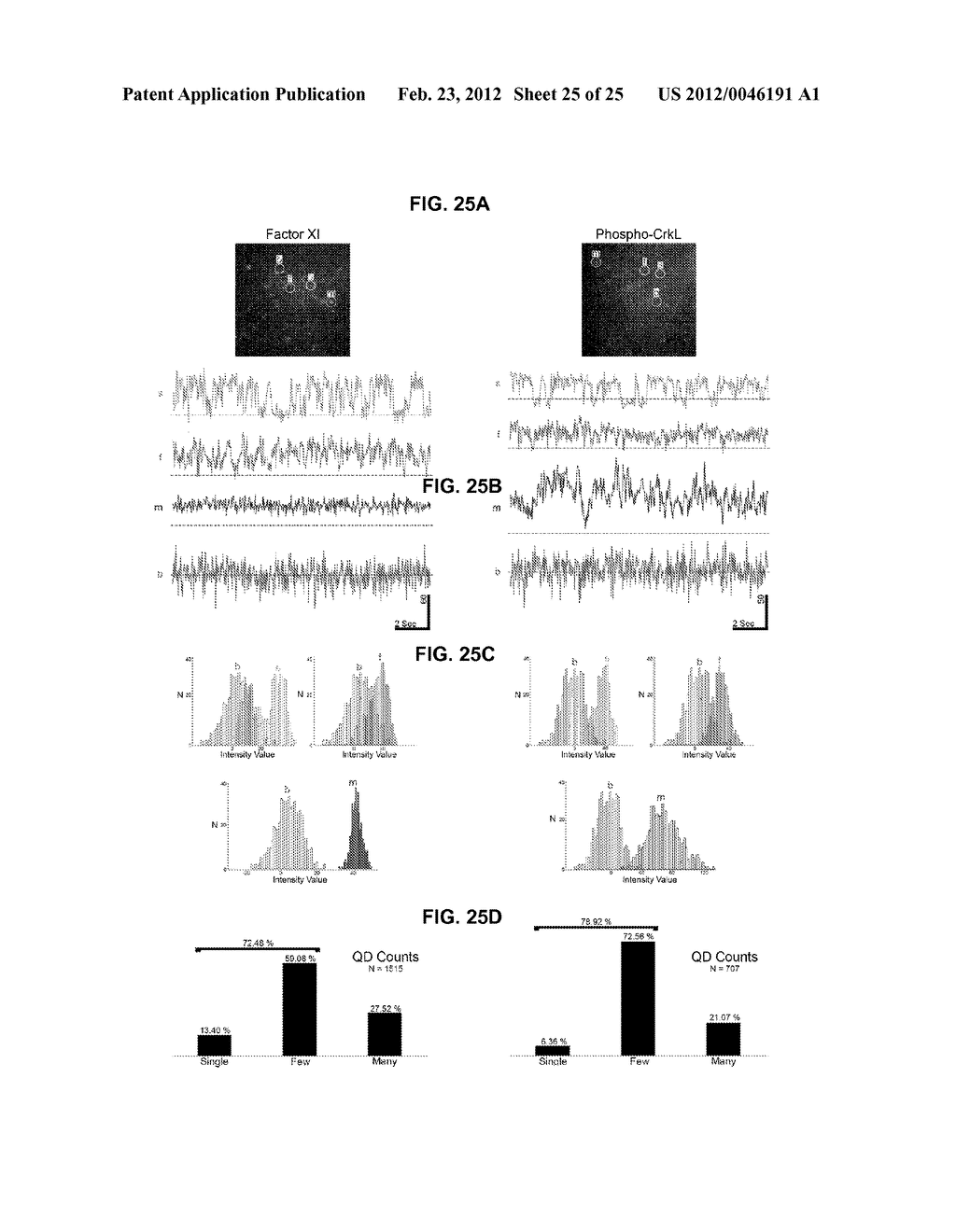 AUTOMATED DETECTION AND COUNTING OF BIOMOLECULES USING NANOPARTICLE PROBES - diagram, schematic, and image 26