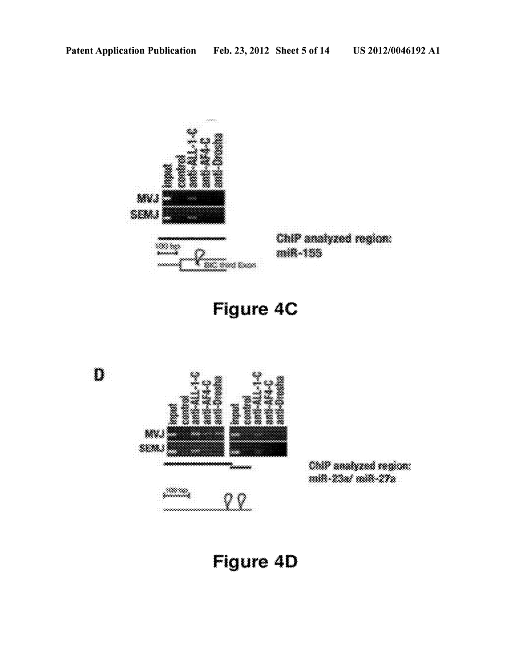 METHOD FOR DIAGNOSING ACUTE LYMPHOMIC LEUKEMIA (ALL) USING MIR-221 - diagram, schematic, and image 06