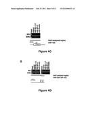 METHOD FOR DIAGNOSING ACUTE LYMPHOMIC LEUKEMIA (ALL) USING MIR-222 diagram and image