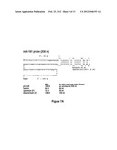 METHOD FOR DIAGNOSING ACUTE LYMPHOMIC LEUKEMIA (ALL) USING MIR-222 diagram and image