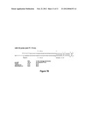 METHOD FOR DIAGNOSING ACUTE LYMPHOMIC LEUKEMIA (ALL) USING MIR-222 diagram and image