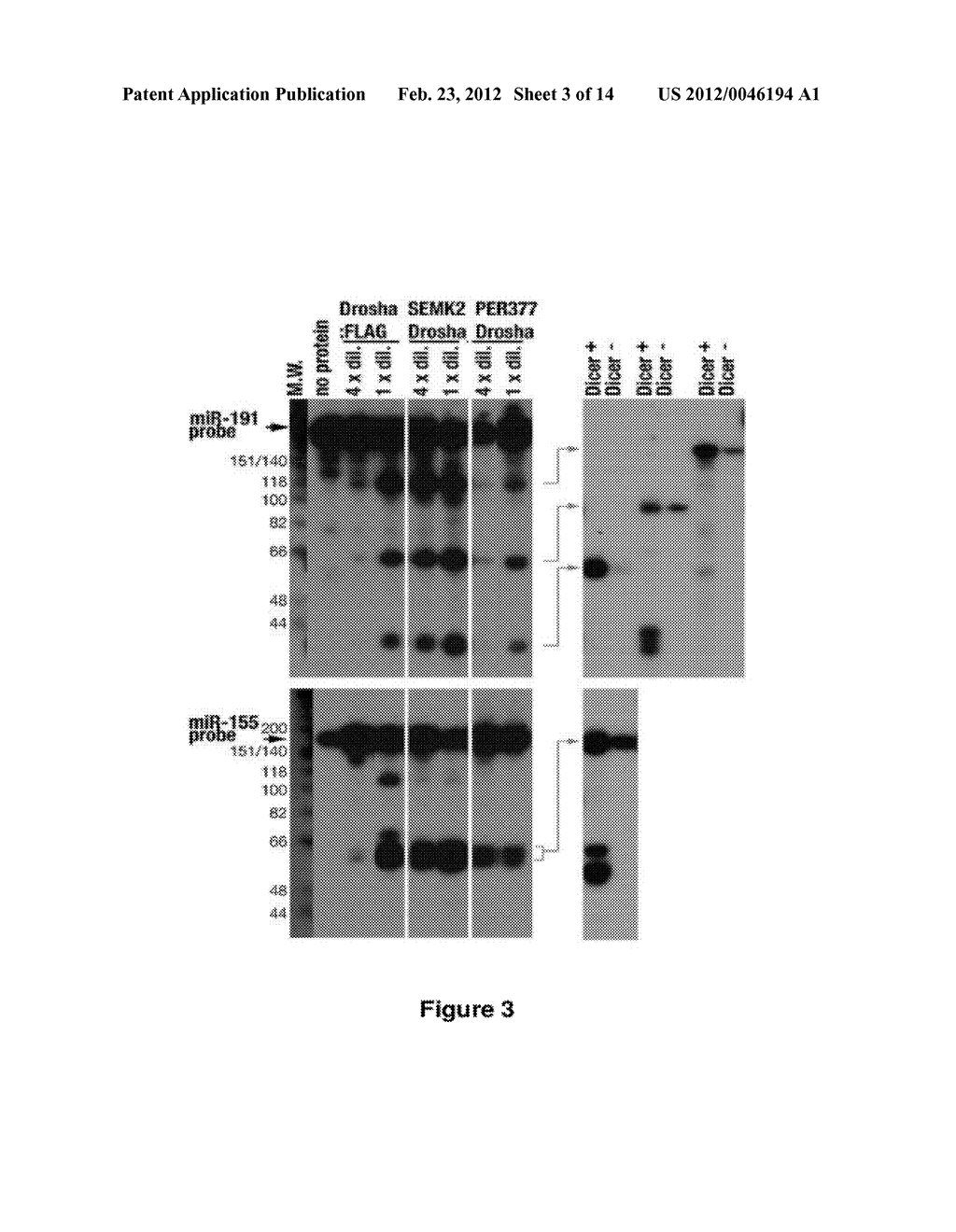 METHOD FOR DIAGNOSING ACUTE LYMPHOMIC LEUKEMIA (ALL) USING MIR-146a - diagram, schematic, and image 04