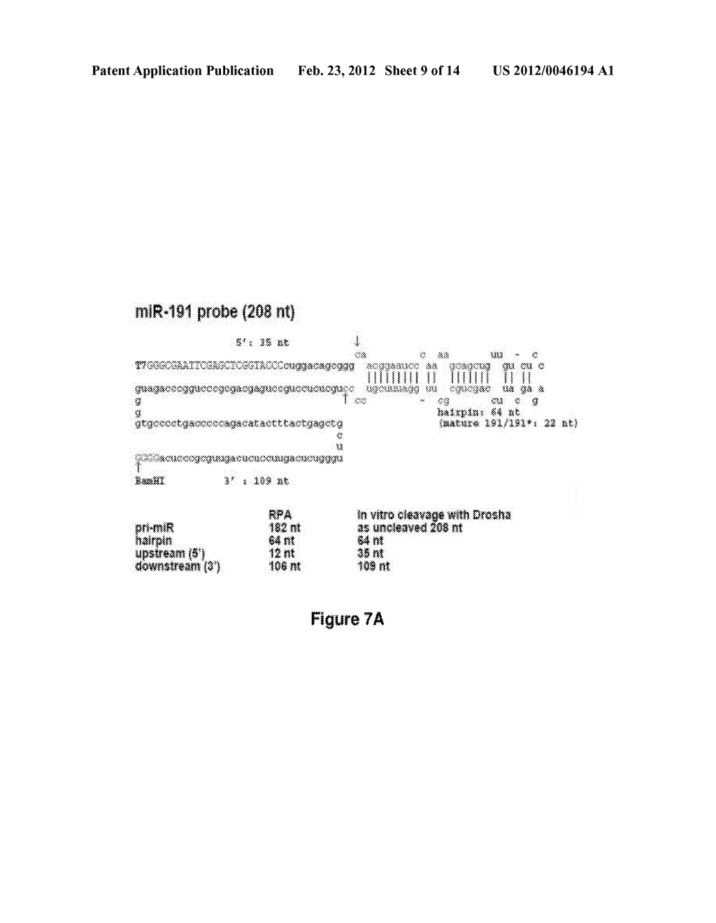 METHOD FOR DIAGNOSING ACUTE LYMPHOMIC LEUKEMIA (ALL) USING MIR-146a - diagram, schematic, and image 10