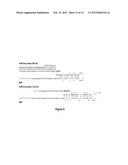 METHOD FOR DIAGNOSING ACUTE LYMPHOMIC LEUKEMIA (ALL) USING MIR-146a diagram and image