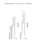 METHOD FOR DIAGNOSING ACUTE LYMPHOMIC LEUKEMIA (ALL) USING MIR-146a diagram and image