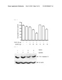 TNF-alpha Antagonists Containing IGFBP5 diagram and image