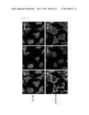 TNF-alpha Antagonists Containing IGFBP5 diagram and image