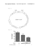 TNF-alpha Antagonists Containing IGFBP5 diagram and image