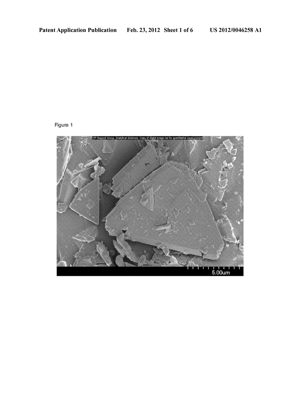 NOVEL CRYSTALLINE PHARMACEUTICAL PRODUCT - diagram, schematic, and image 02