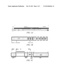 COMPOSITIONS AND METHODS FOR DIAGNOSING AND PREVENTING SPONTANEOUS PRETERM     BIRTH diagram and image