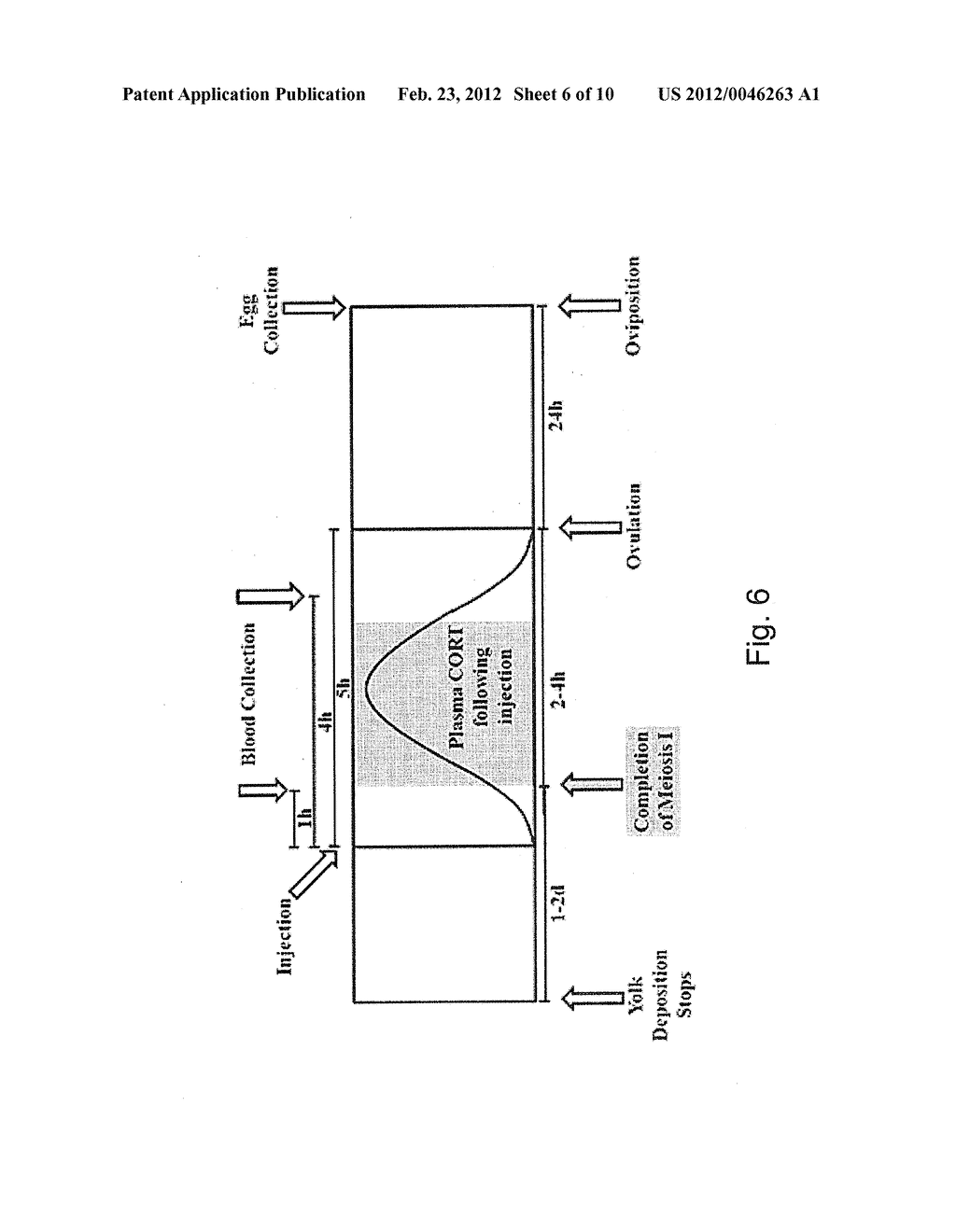  - diagram, schematic, and image 07