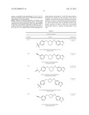 CYTOSKELETAL ACTIVE RHO KINASE INHIBITOR COMPOUNDS, COMPOSITION AND USE diagram and image