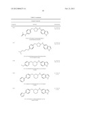 CYTOSKELETAL ACTIVE RHO KINASE INHIBITOR COMPOUNDS, COMPOSITION AND USE diagram and image