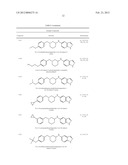 CYTOSKELETAL ACTIVE RHO KINASE INHIBITOR COMPOUNDS, COMPOSITION AND USE diagram and image