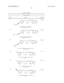 CYTOSKELETAL ACTIVE RHO KINASE INHIBITOR COMPOUNDS, COMPOSITION AND USE diagram and image