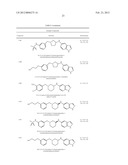 CYTOSKELETAL ACTIVE RHO KINASE INHIBITOR COMPOUNDS, COMPOSITION AND USE diagram and image