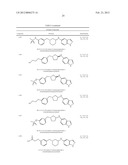 CYTOSKELETAL ACTIVE RHO KINASE INHIBITOR COMPOUNDS, COMPOSITION AND USE diagram and image