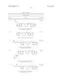 CYTOSKELETAL ACTIVE RHO KINASE INHIBITOR COMPOUNDS, COMPOSITION AND USE diagram and image