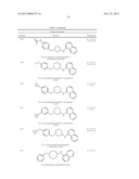 CYTOSKELETAL ACTIVE RHO KINASE INHIBITOR COMPOUNDS, COMPOSITION AND USE diagram and image