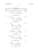 CYTOSKELETAL ACTIVE RHO KINASE INHIBITOR COMPOUNDS, COMPOSITION AND USE diagram and image