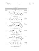 CYTOSKELETAL ACTIVE RHO KINASE INHIBITOR COMPOUNDS, COMPOSITION AND USE diagram and image