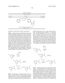 CYTOSKELETAL ACTIVE RHO KINASE INHIBITOR COMPOUNDS, COMPOSITION AND USE diagram and image