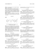 CYTOSKELETAL ACTIVE RHO KINASE INHIBITOR COMPOUNDS, COMPOSITION AND USE diagram and image