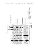 METHODS AND COMPOUNDS FOR ANTIMICROBIAL INTERVENTION diagram and image