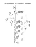 METHODS AND COMPOUNDS FOR ANTIMICROBIAL INTERVENTION diagram and image