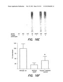 METHODS AND COMPOUNDS FOR ANTIMICROBIAL INTERVENTION diagram and image