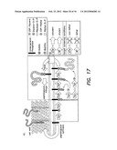 METHODS AND COMPOUNDS FOR ANTIMICROBIAL INTERVENTION diagram and image