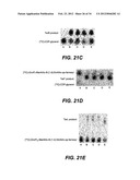 METHODS AND COMPOUNDS FOR ANTIMICROBIAL INTERVENTION diagram and image