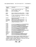 METHODS AND COMPOUNDS FOR ANTIMICROBIAL INTERVENTION diagram and image