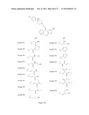 CHEMOKINE RECEPTOR ANTAGONISTS AND METHODS OF USE THEREOF diagram and image