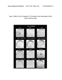 PYRROLIDINE-SUBSTITUTED FLAVONES AS RADIO-SENSITIZERS FOR USE IN THE     TREATMENT OF CANCER diagram and image