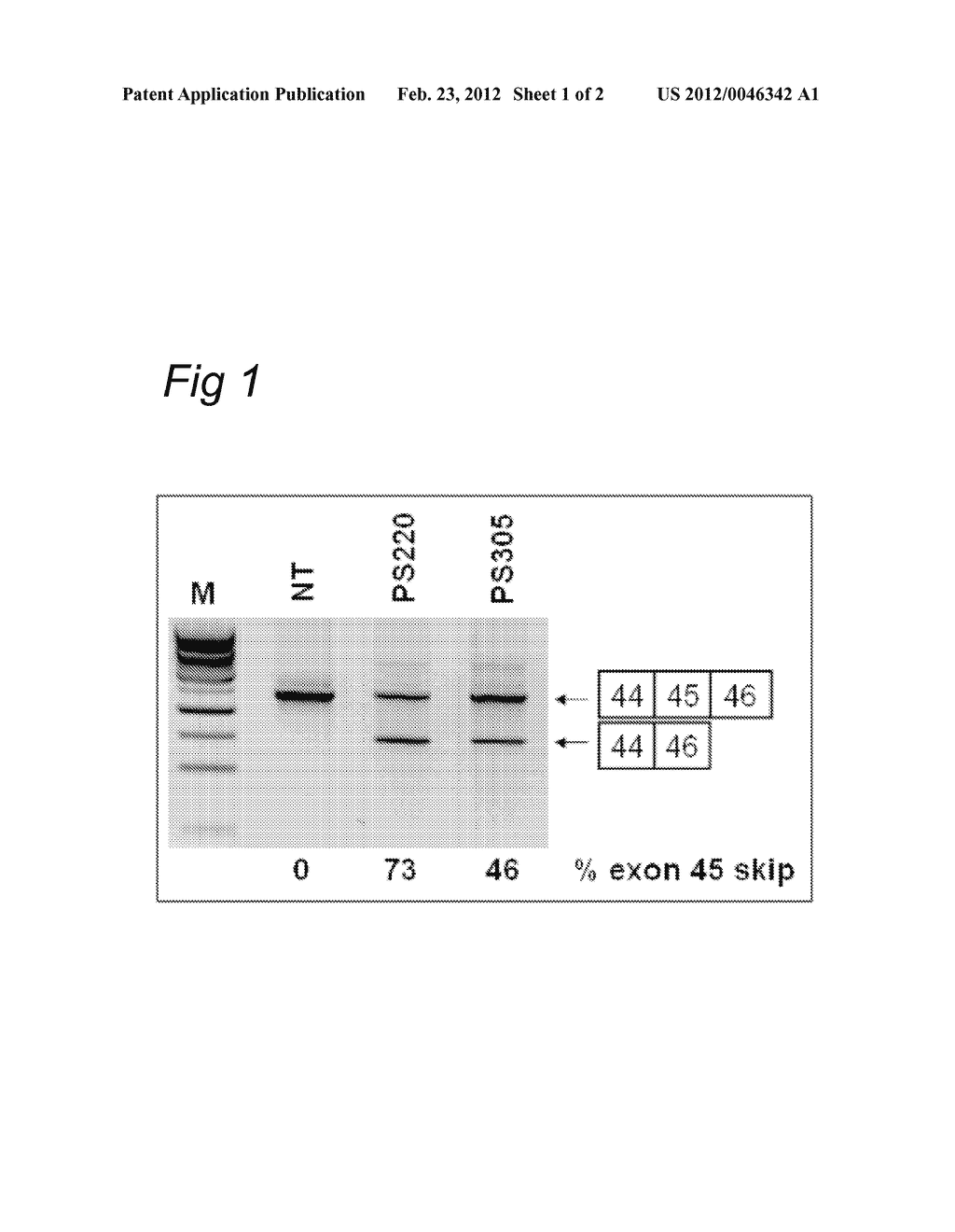 OLIGONUCLEOTIDE COMPRISING AN INOSINE FOR TREATING DMD - diagram, schematic, and image 02