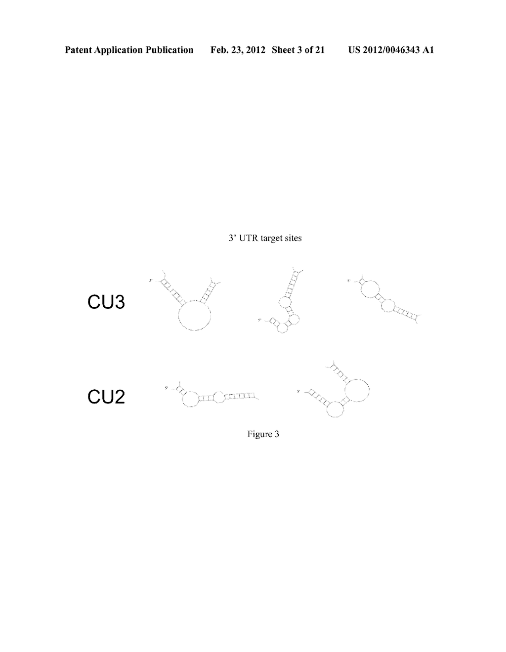 MULTI-TARGETING SHORT INTERFERING RNAs - diagram, schematic, and image 04