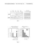 USE OF ISOTHIOCYANATES COMPOUNDS IN TREATING PROSTATIC DISEASES AND SKIN     CANCER diagram and image