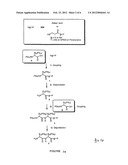 Combinatorial Synthesis of Libraries of Macrocyclic Compounds Useful in     Drug Discovery diagram and image