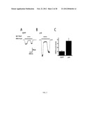 p16 MEDIATED REGULATION OF NMDA RECEPTORS diagram and image