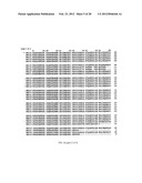 p16 MEDIATED REGULATION OF NMDA RECEPTORS diagram and image