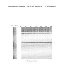 p16 MEDIATED REGULATION OF NMDA RECEPTORS diagram and image