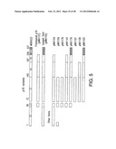 p16 MEDIATED REGULATION OF NMDA RECEPTORS diagram and image