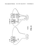 p16 MEDIATED REGULATION OF NMDA RECEPTORS diagram and image