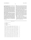 p16 MEDIATED REGULATION OF NMDA RECEPTORS diagram and image