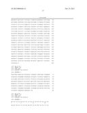 p16 MEDIATED REGULATION OF NMDA RECEPTORS diagram and image