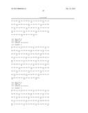 p16 MEDIATED REGULATION OF NMDA RECEPTORS diagram and image